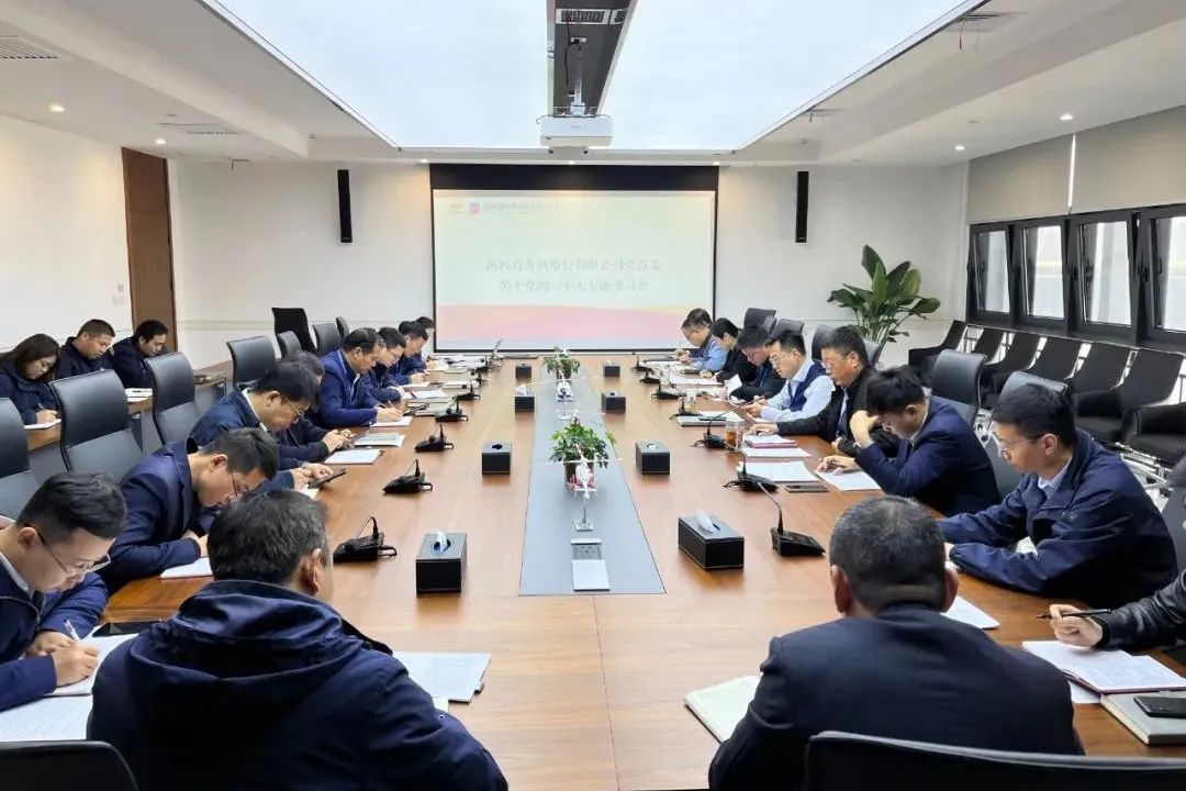 陜直股份、秦漢通航傳達(dá)學(xué)習(xí)貫徹黨的二十大精神